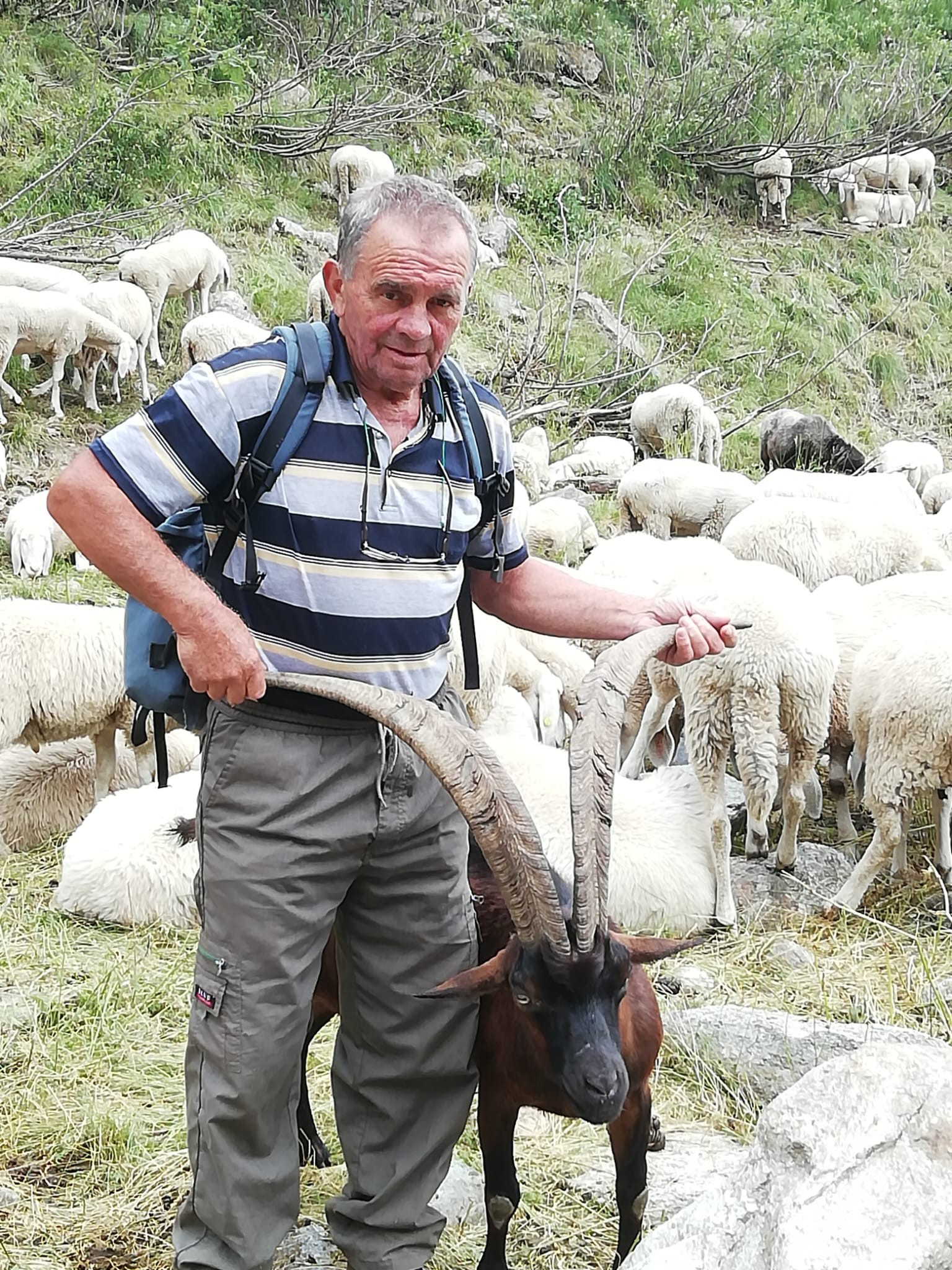 Armando Mattè Aleina