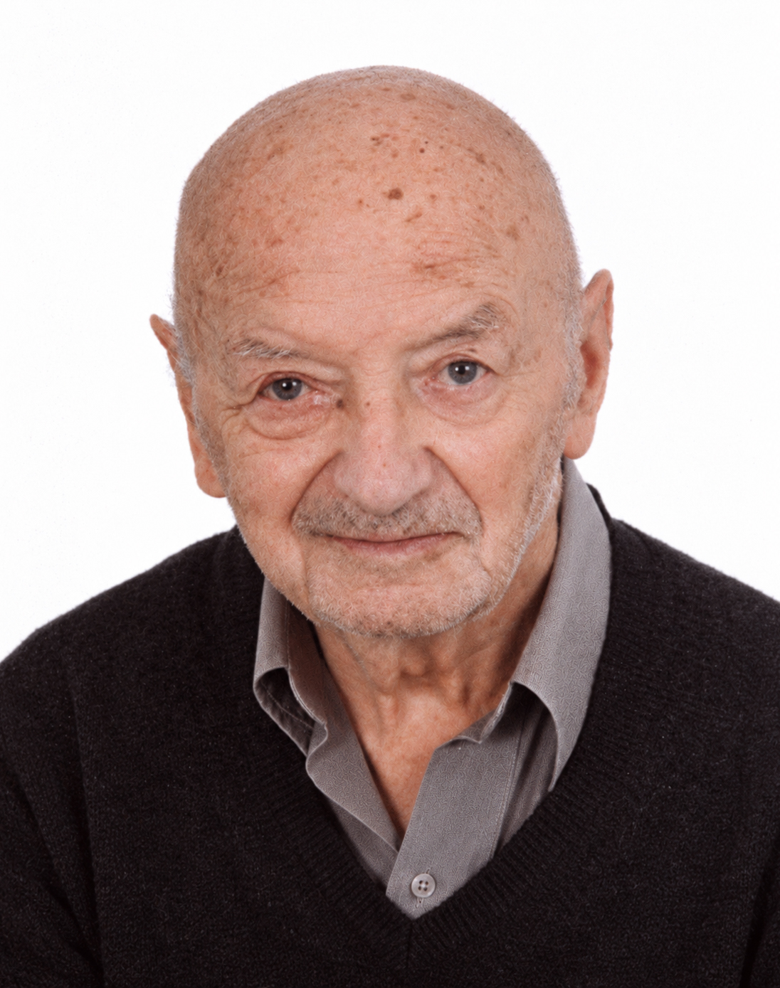 Piero Domenico Menaldino
